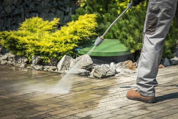 Pre-Holiday Cleaning in Bement, IL
